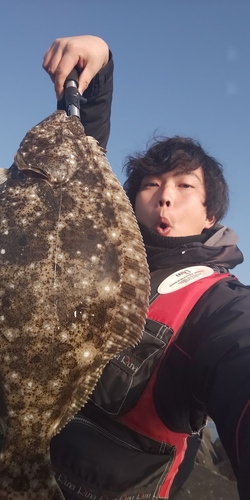 ヒラメの釣果