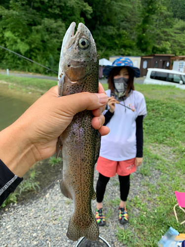 ニジマスの釣果