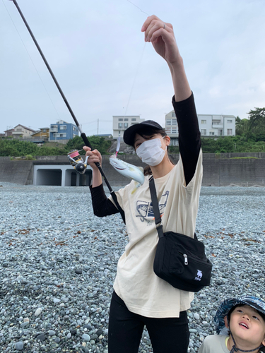 ショゴの釣果