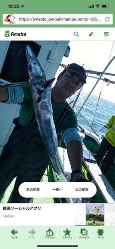 タチウオの釣果