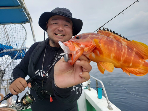 アカハタの釣果