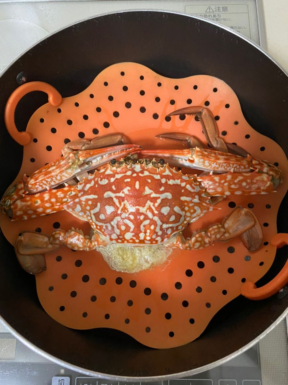タイワンガザミ