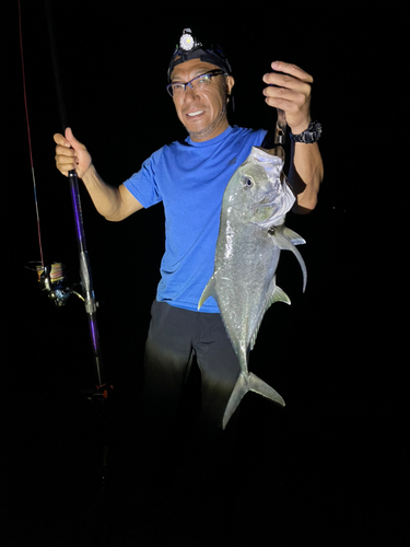 ロウニンアジの釣果