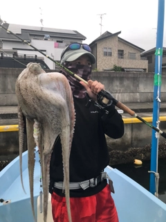 タコの釣果