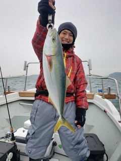 ハマチの釣果