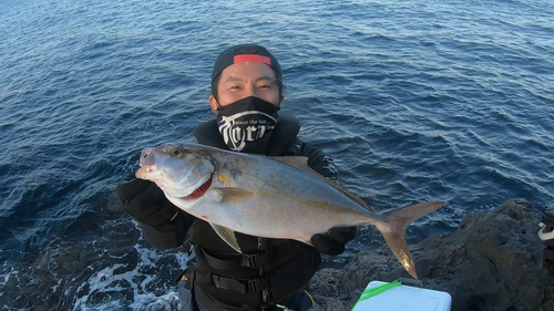 シオの釣果