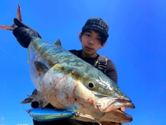 ブリの釣果