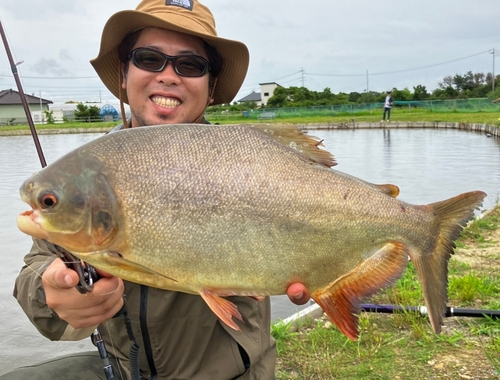 コロソマの釣果