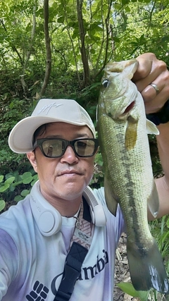 ラージマウスバスの釣果