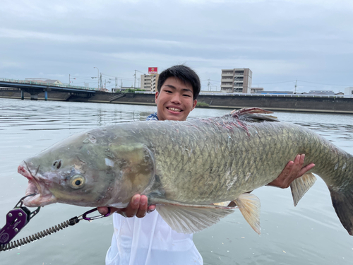 ソウギョの釣果