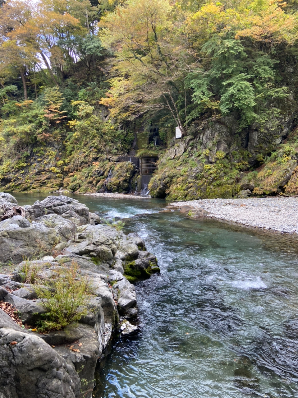 イワナ