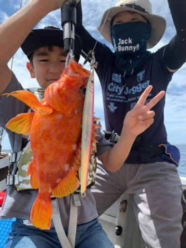 アヤメカサゴの釣果