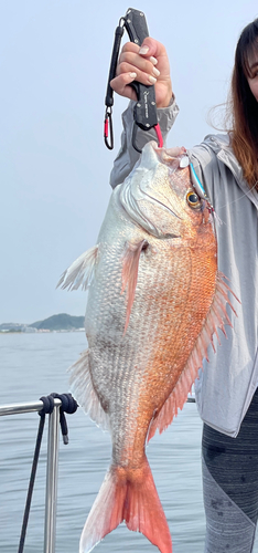 タイの釣果