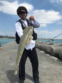 ミナミマゴチの釣果