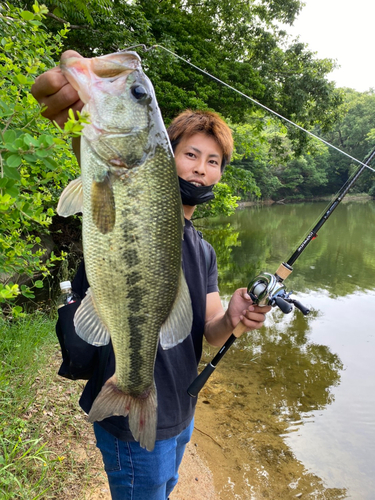 ブラックバスの釣果