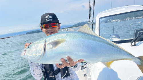 ブリの釣果