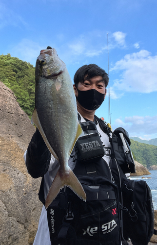 シオの釣果