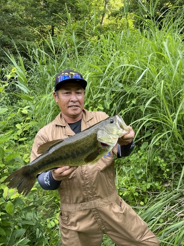 ラージマウスバスの釣果