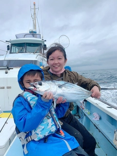 カツオの釣果