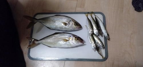 釣果