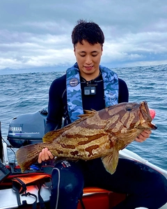 ホウキハタの釣果