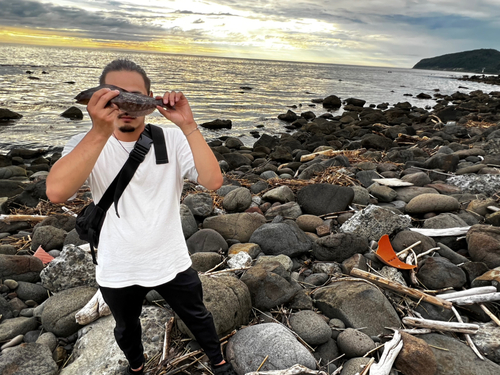 アブラコの釣果