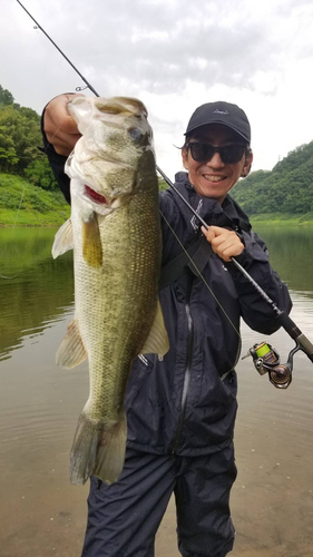 ブラックバスの釣果