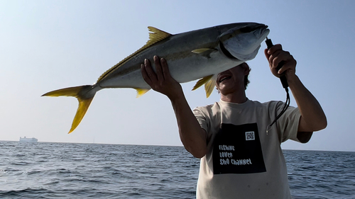 ヒラマサの釣果