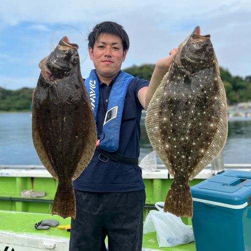 ヒラメの釣果