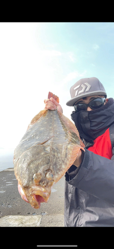 カレイの釣果