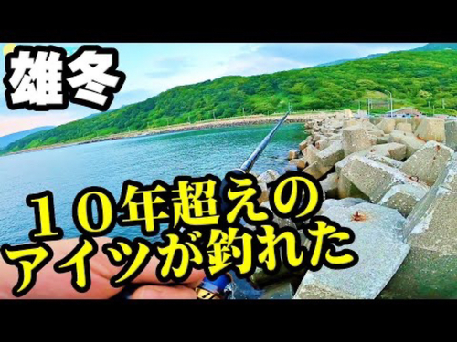 オウゴンムラソイの釣果