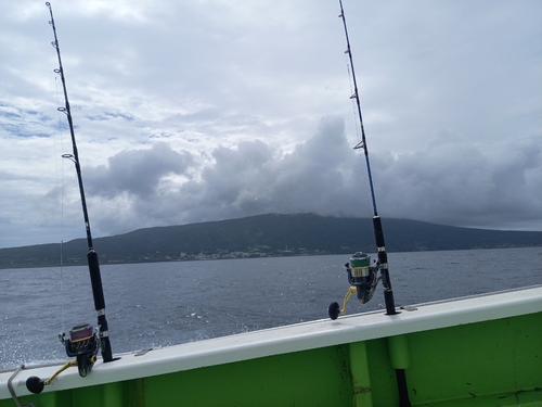 イワシの釣果