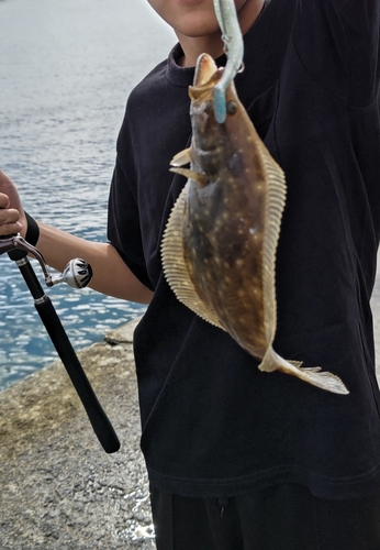 ソゲの釣果