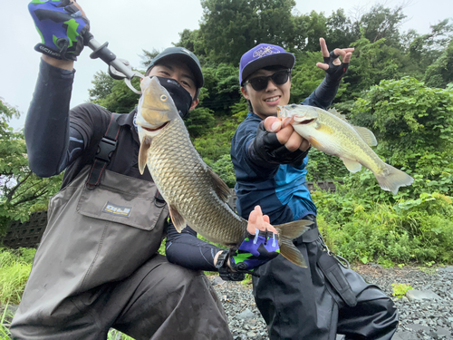 ブラックバスの釣果