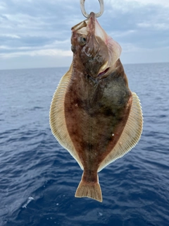 ソウハチの釣果