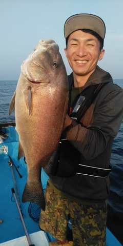 コロダイの釣果