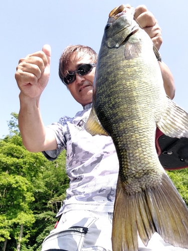 スモールマウスバスの釣果