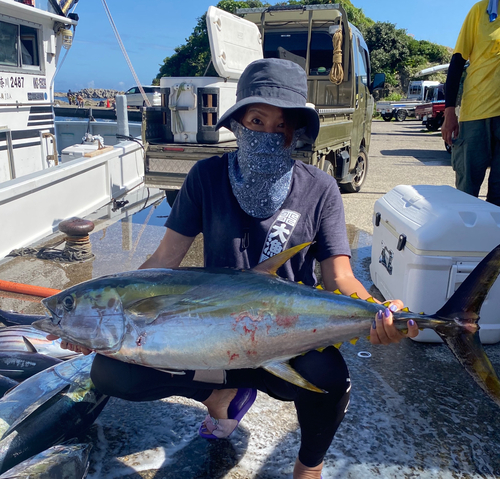 キハダマグロの釣果