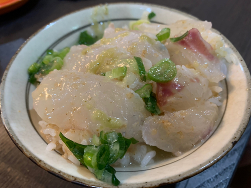 マダイの釣果