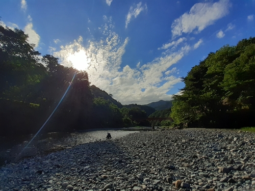 アユの釣果