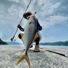 カンパチの釣果