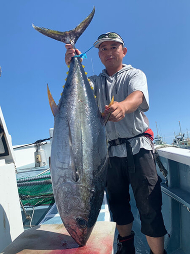 キハダマグロの釣果