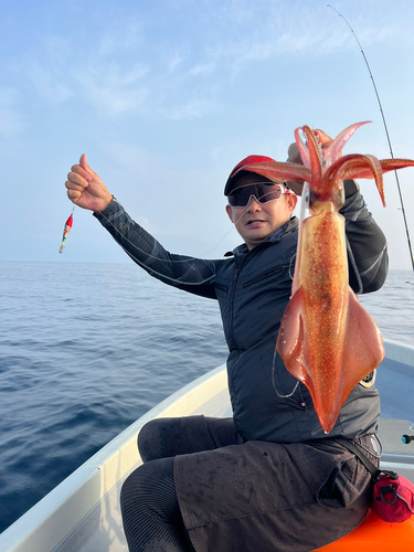 ケンサキイカの釣果