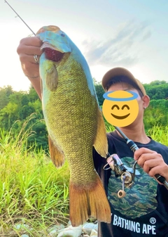 スモールマウスバスの釣果