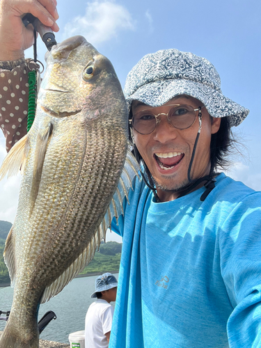 ヘダイの釣果