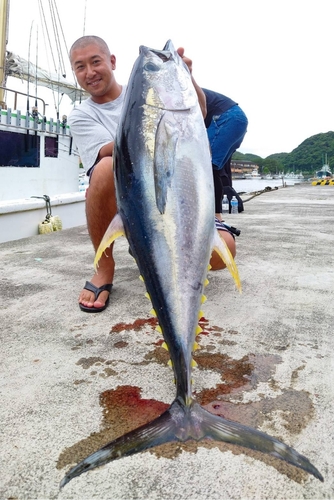 キハダマグロの釣果