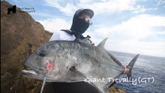 GTの釣果