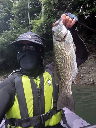 スモールマウスバスの釣果