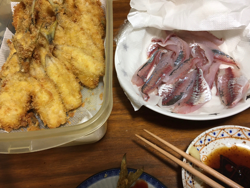 アジの釣果