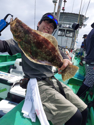 ヒラメの釣果